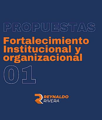 1 Desarrollo Institucional y Organizacional