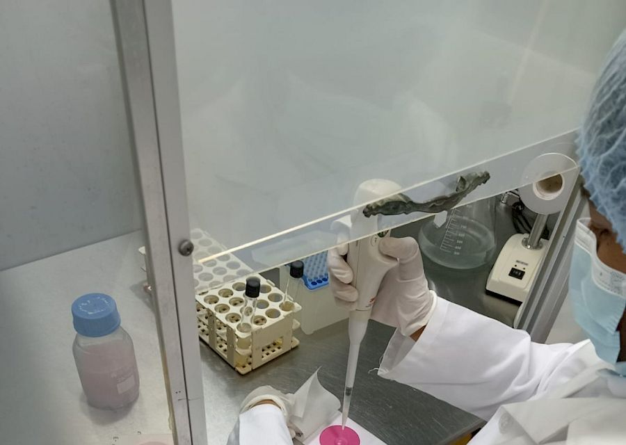Análisis microbiológico de: