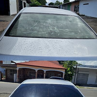 Papel Ahumado La Chorrera | Vehículo, casa u oficina