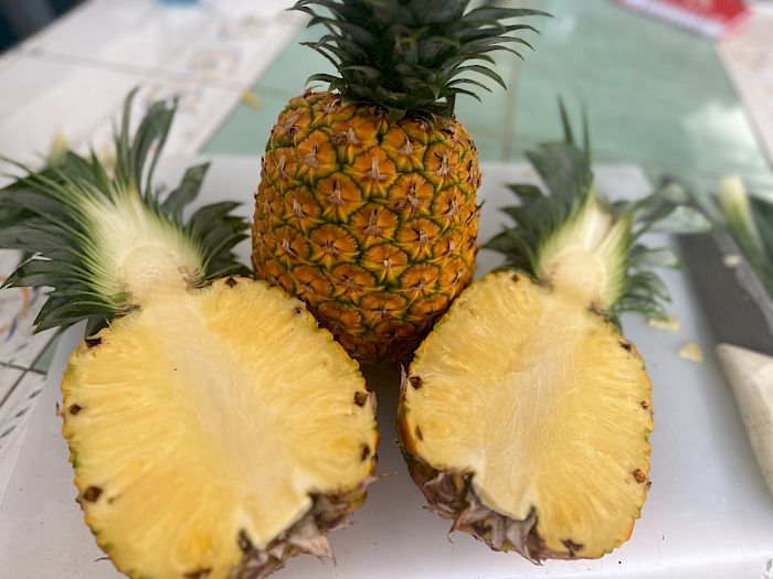 Industria 4.0 | Productores de piña en Panamá Galería