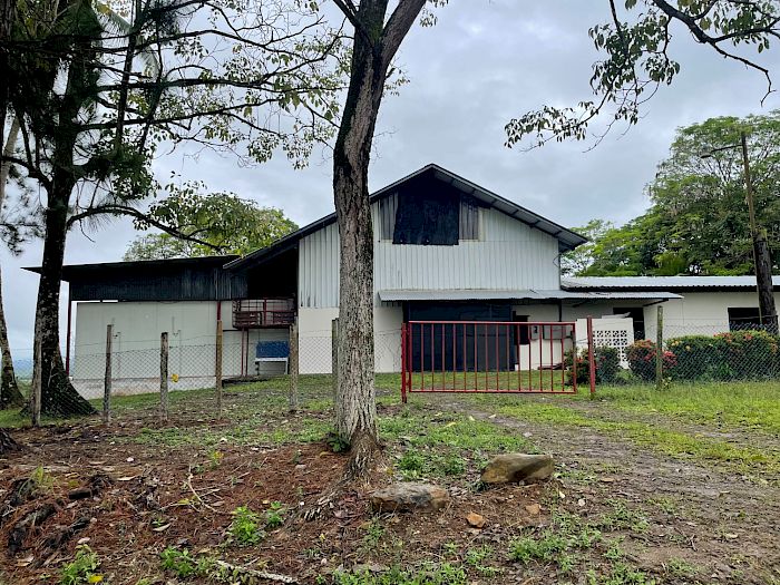 Industria 4.0 | Productores de piña en Panamá Galería