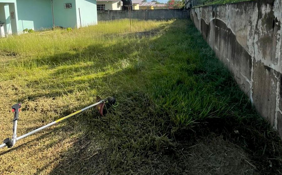 Ejecución
