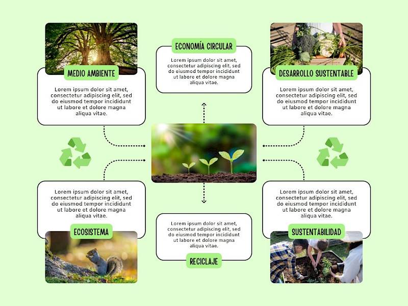 Task Pro Universitario