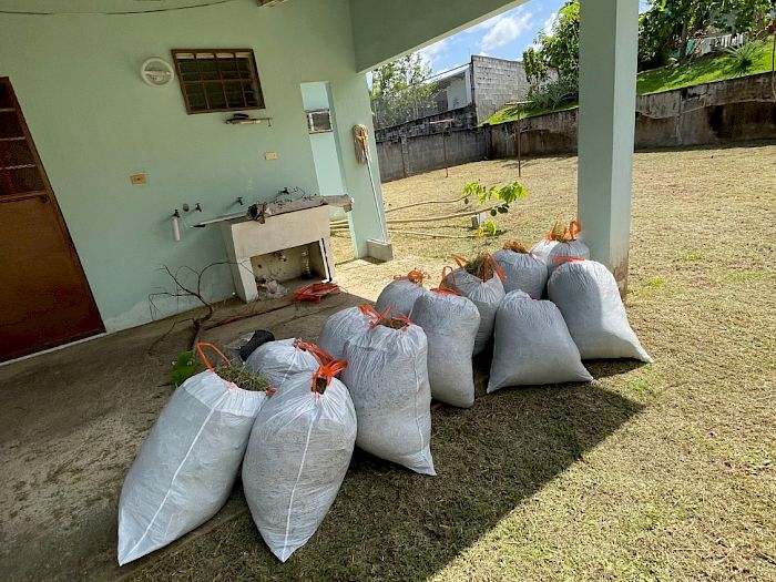 Limpieza de Patio | Panamá Oeste Nuestros trabajos