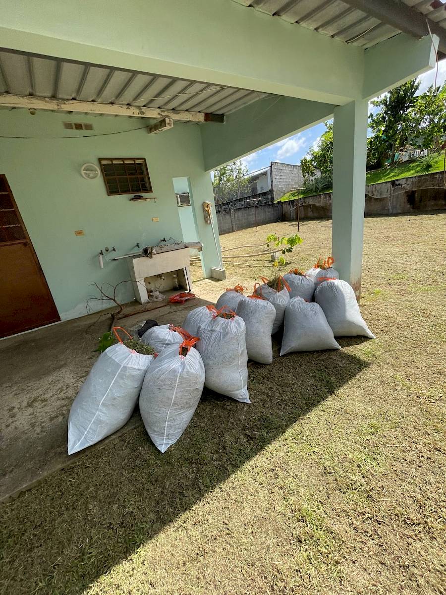Limpieza de Patio | Panamá Oeste Nuestros trabajos