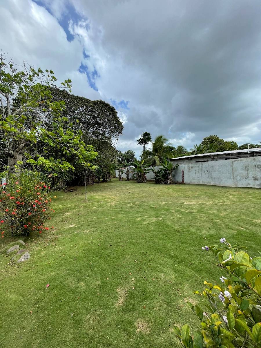 Limpieza de Patio | Panamá Oeste Nuestros trabajos