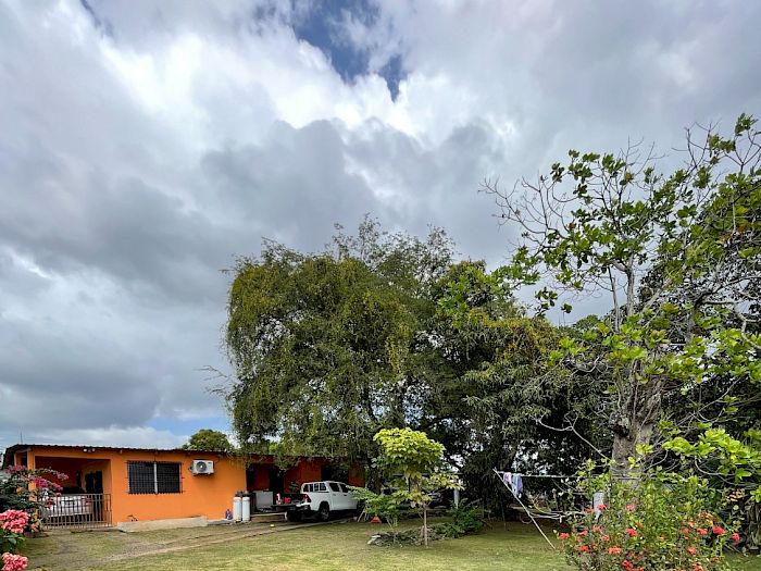 Limpieza de Patio | Panamá Oeste Nuestros trabajos