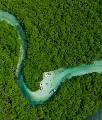 COLON - ISLA GRANDE, VENAS AZULES