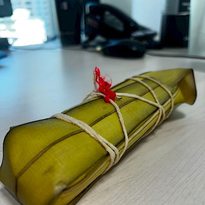 Tamales y Bollos Panamá