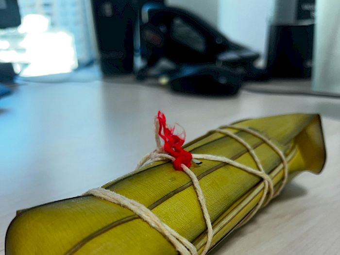 Tamales y Bollos Panamá Platos