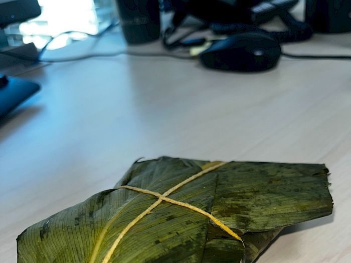 Tamales y Bollos Panamá Platos