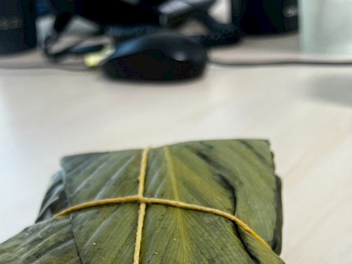 Tamales y Bollos Panamá Platos