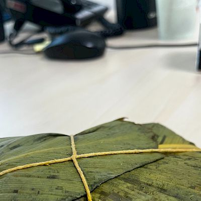 Tamales y Bollos Panamá