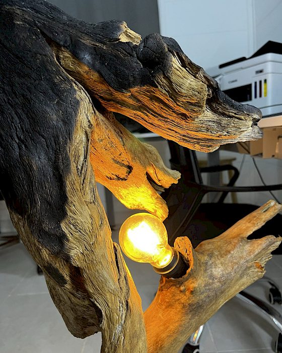 Nido de Luz