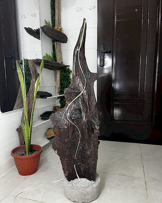 Manglar