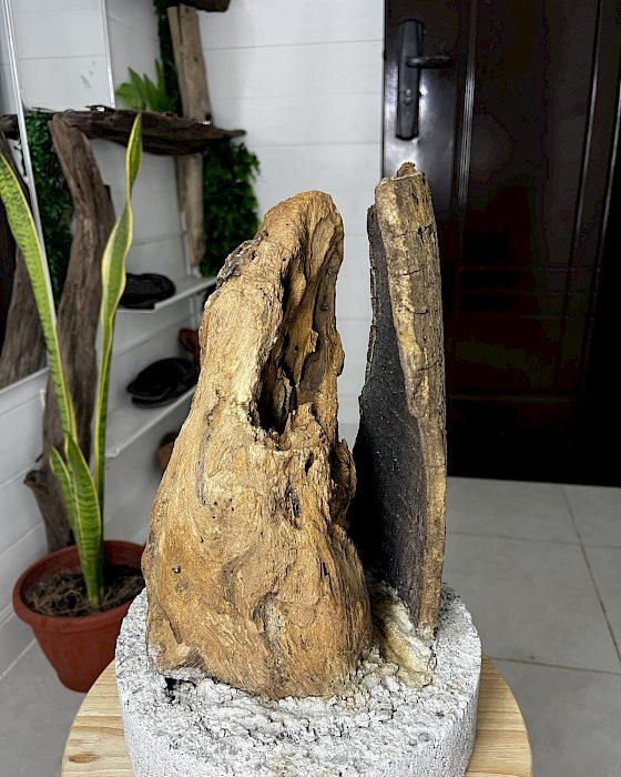 Guijarro